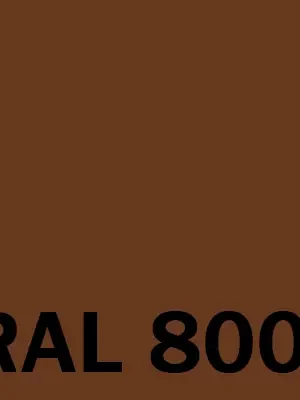 Akce Autolak ve spreji RAL LESK 400ml<span class="small color-gray text-muted"> - Odstín RAL: RAL 8007</span>